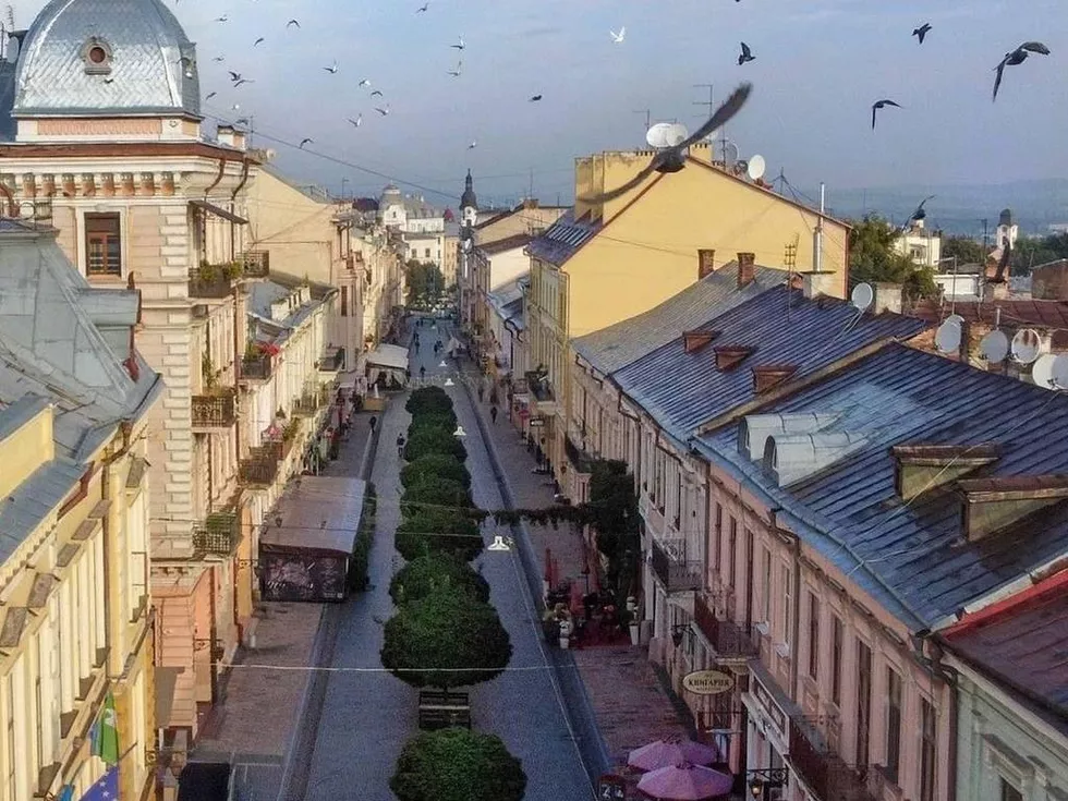 travel program image