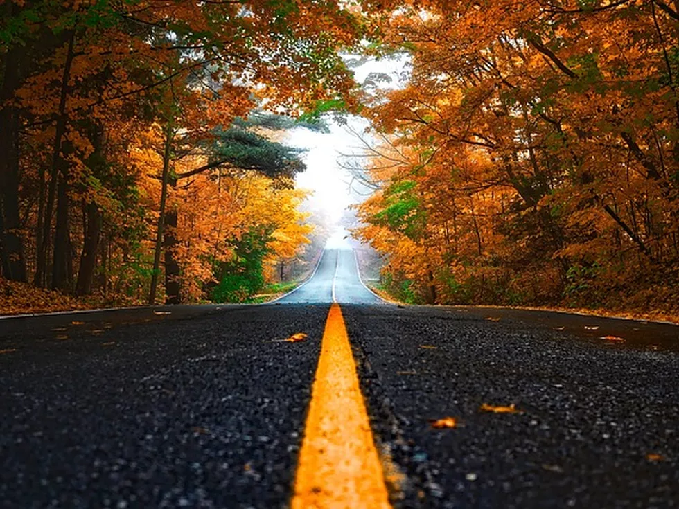 travel program image