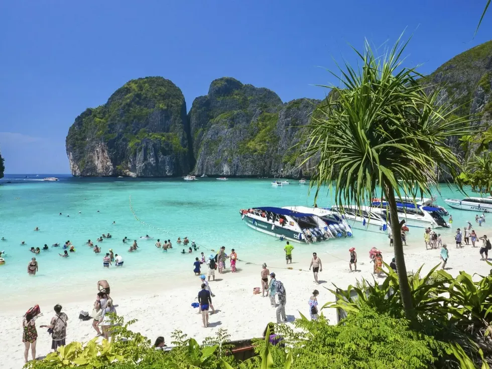 travel program image