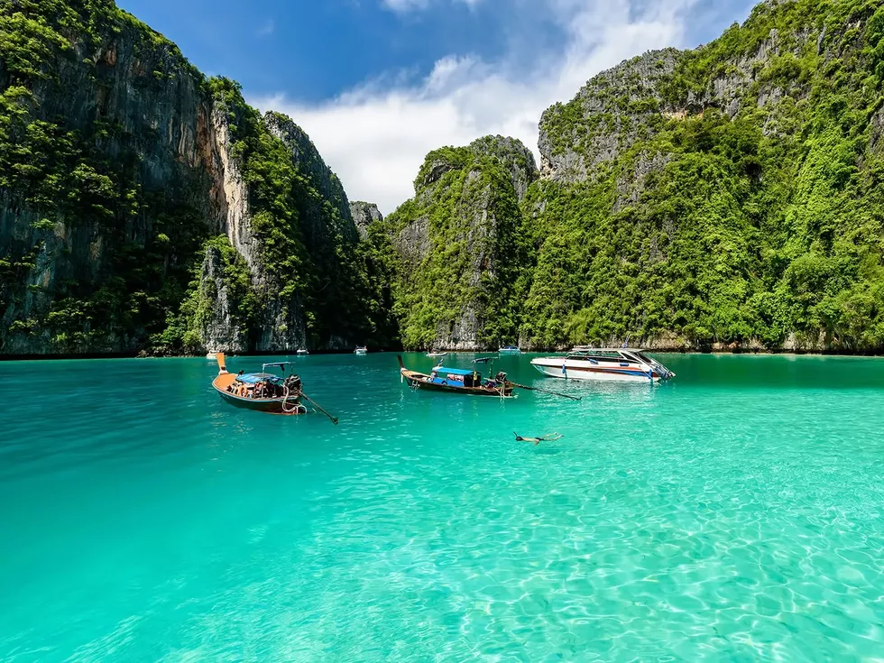 travel program image