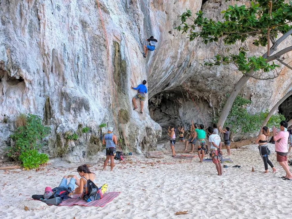 travel program image