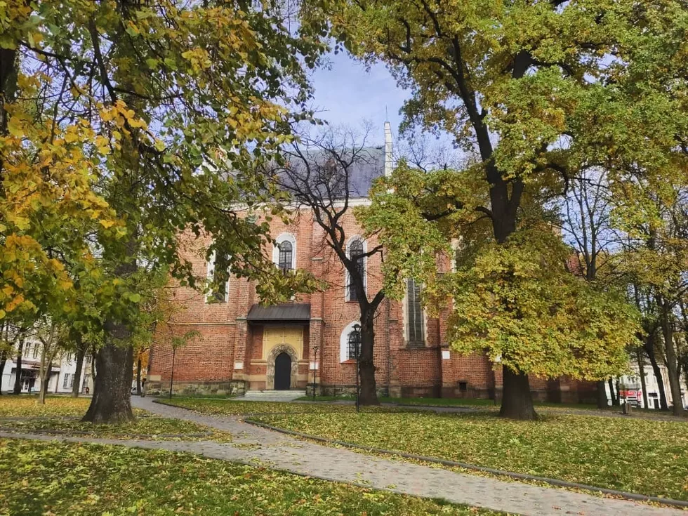 travel program image