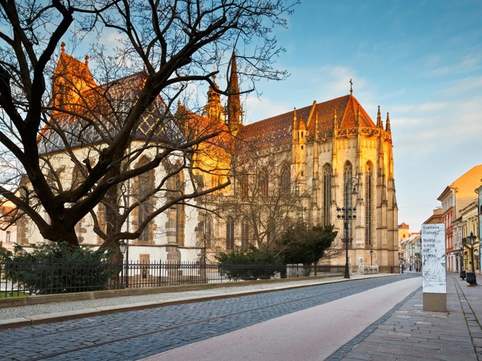 travel program image