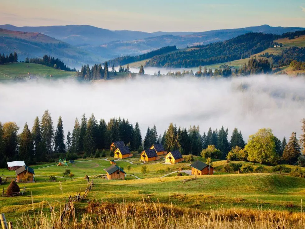 travel program image