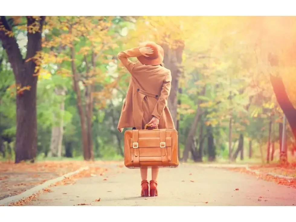 travel program image