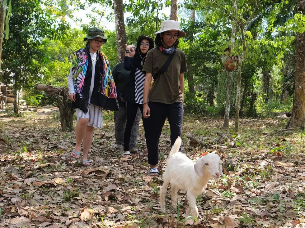travel program image