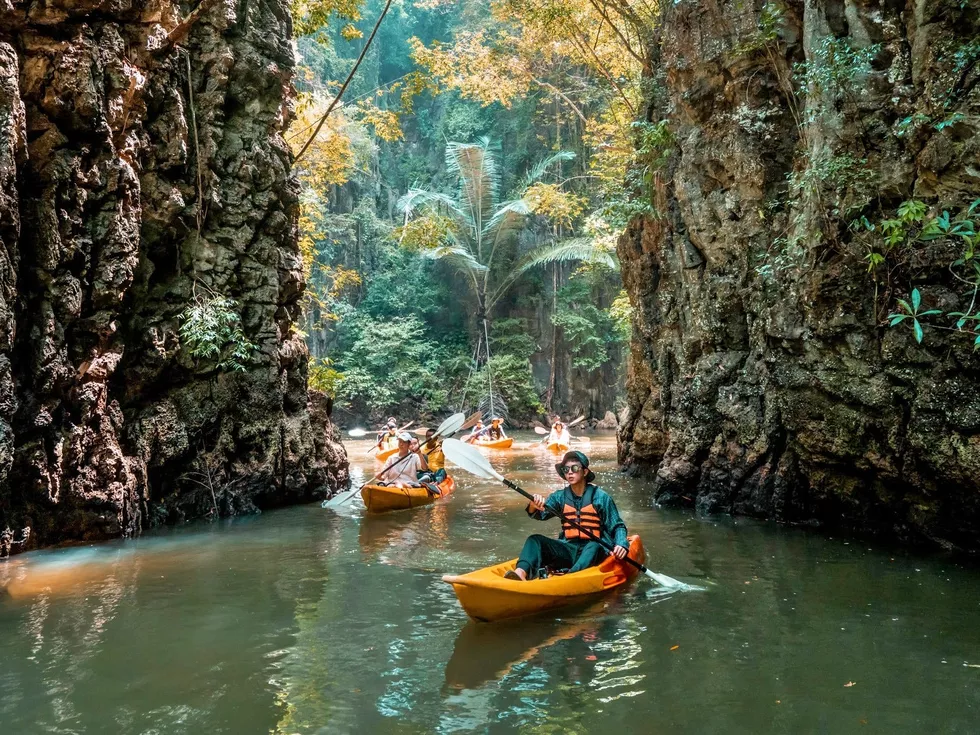 travel program image