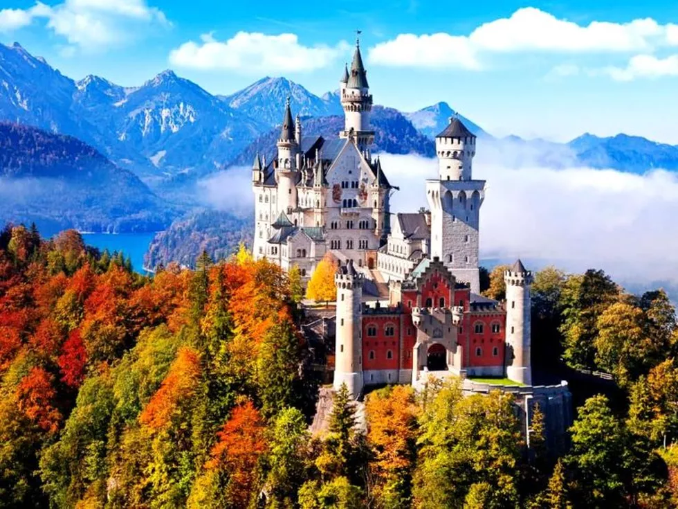 travel program image