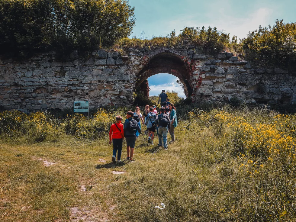 travel program image