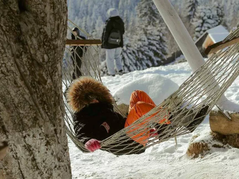 travel program image