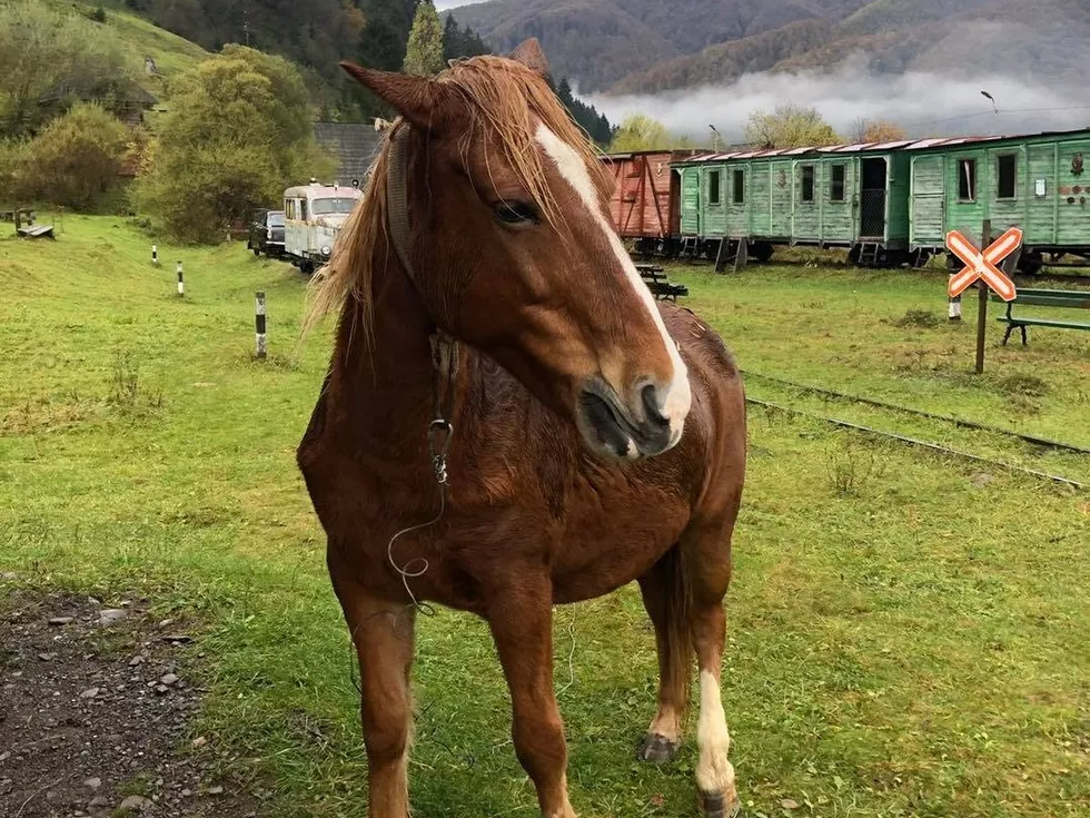 travel program image