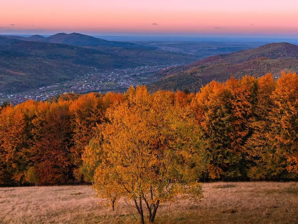 travel program image