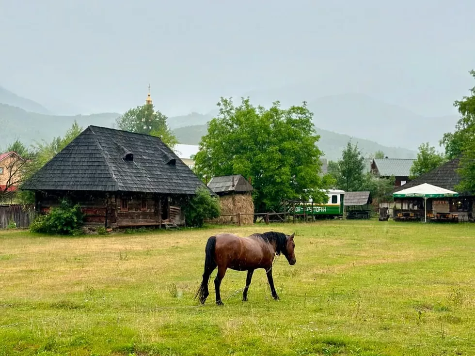 travel program image