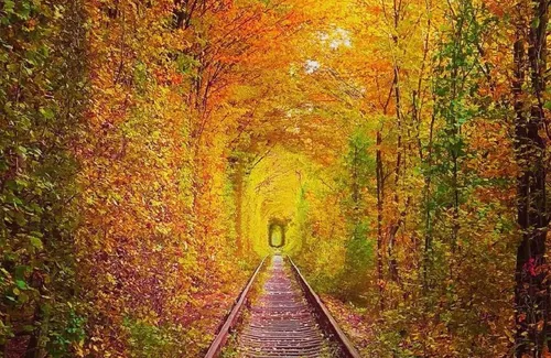 trip-tile-image