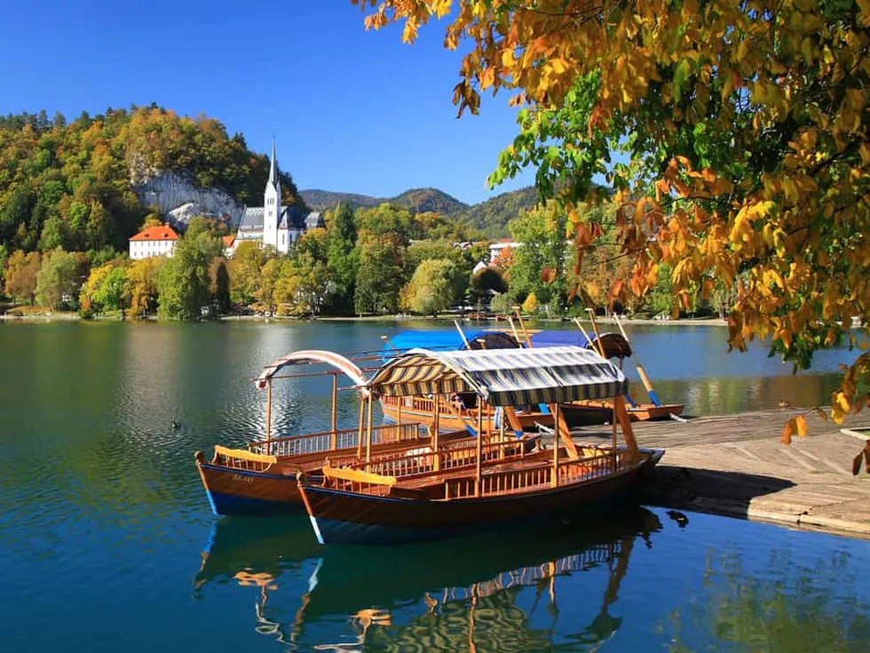 travel program image
