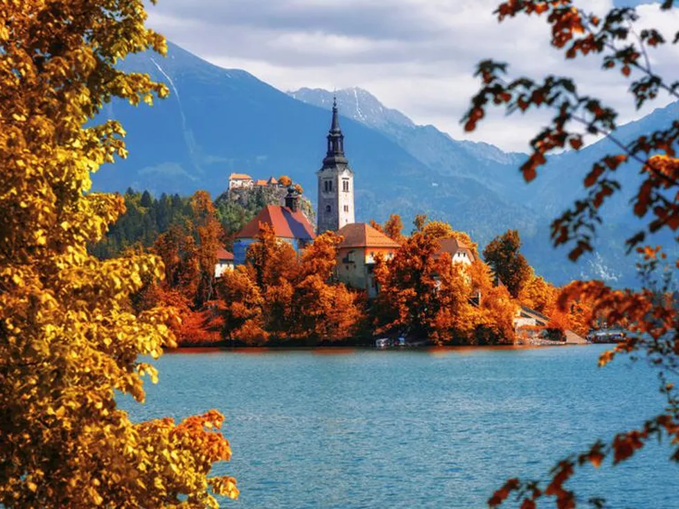 travel program image