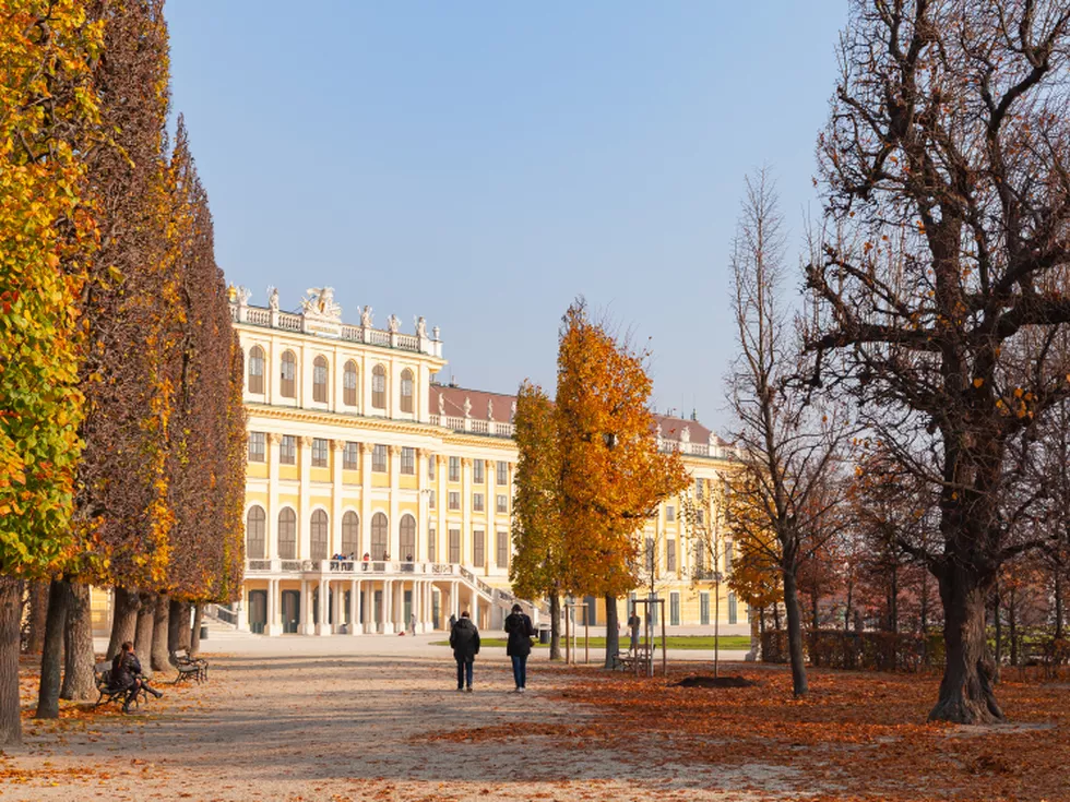 travel program image