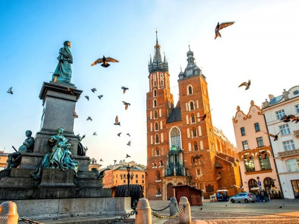 travel program image