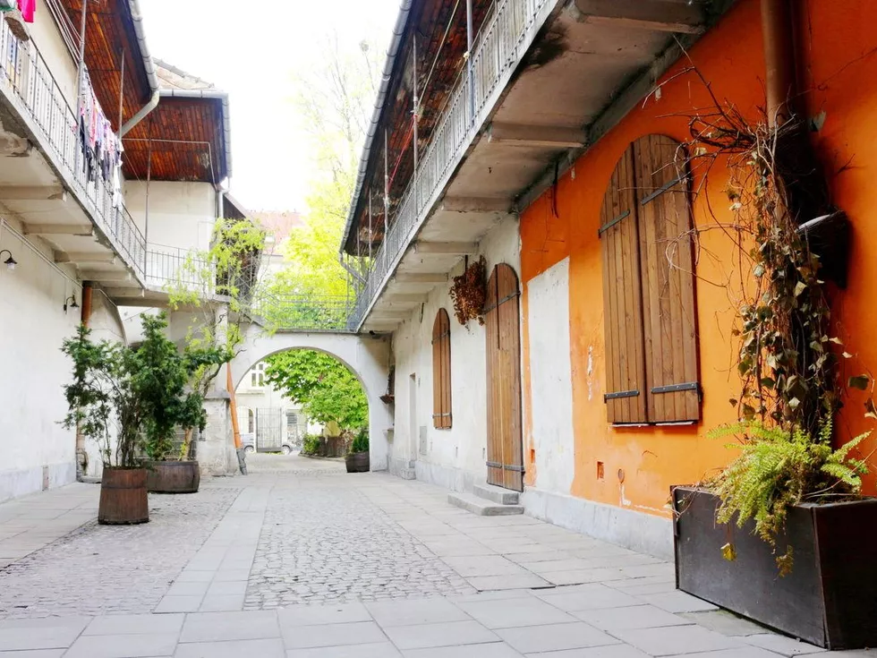 travel program image