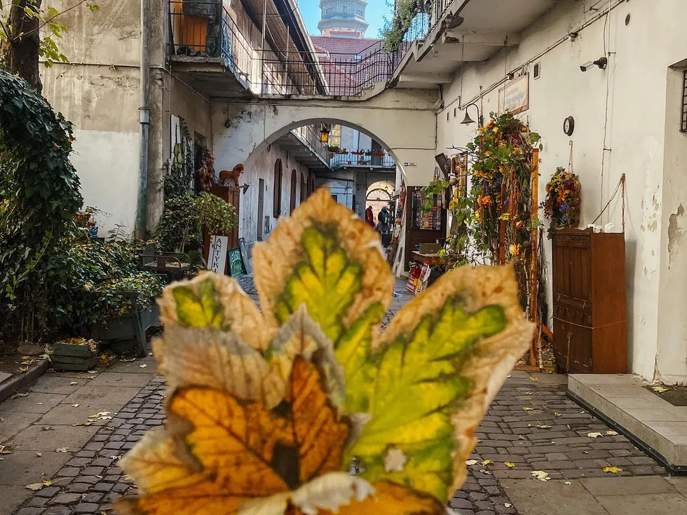 travel program image
