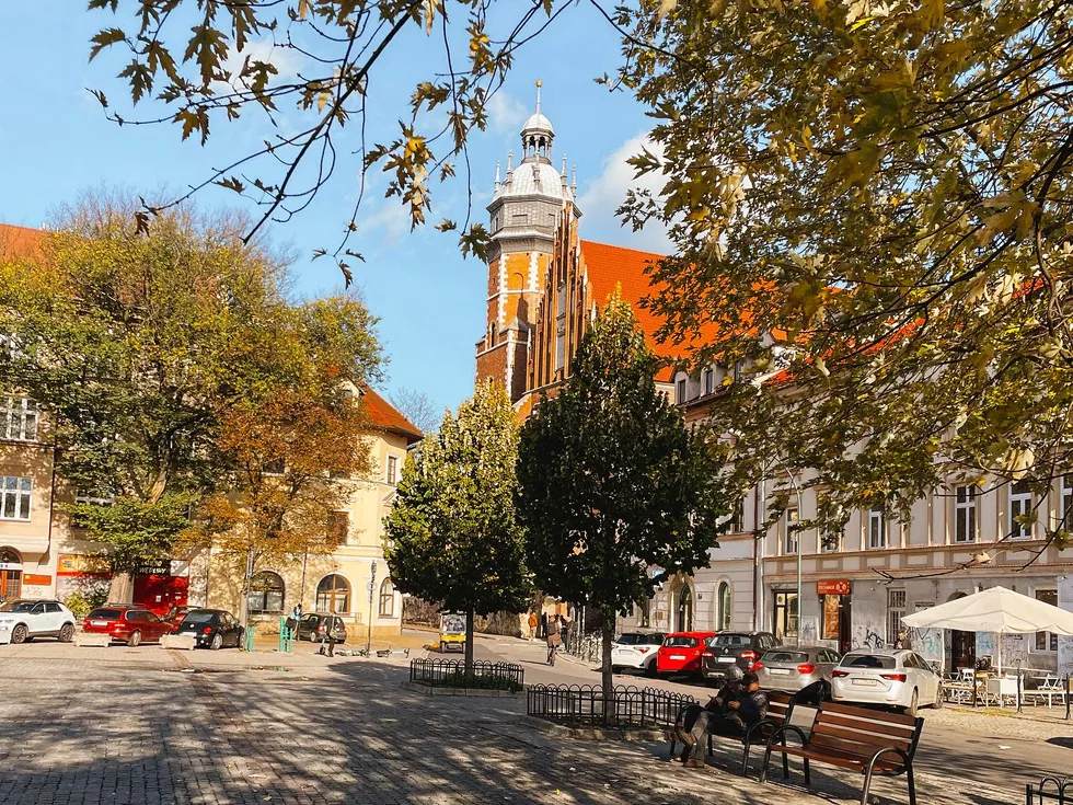travel program image