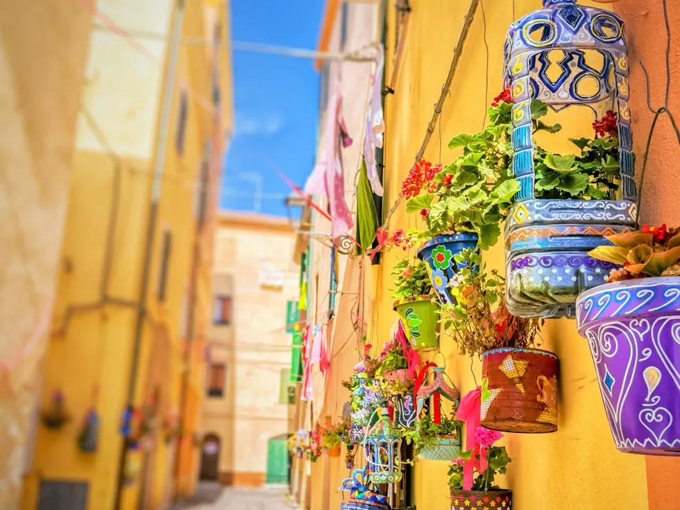 travel program image
