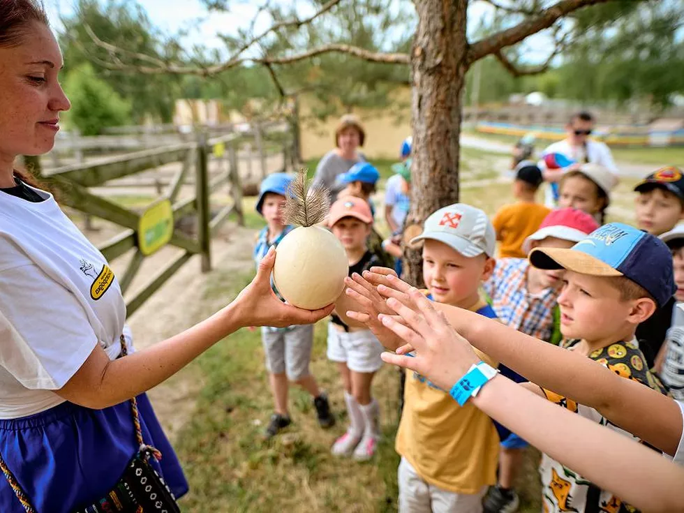 travel program image