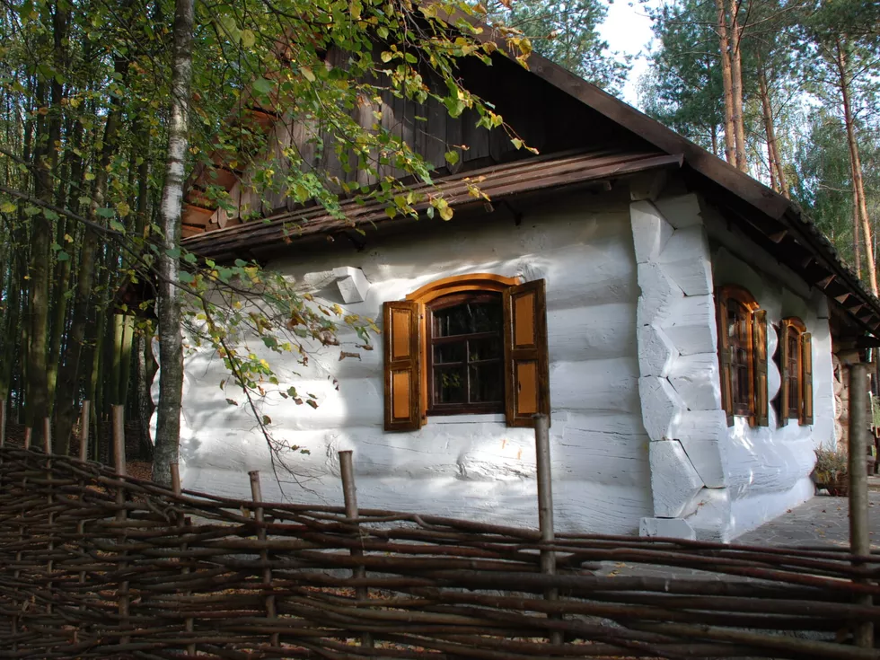travel program image