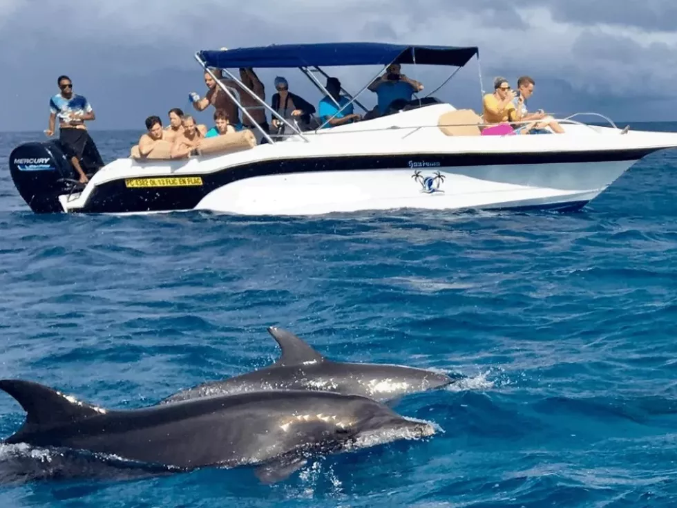 travel program image