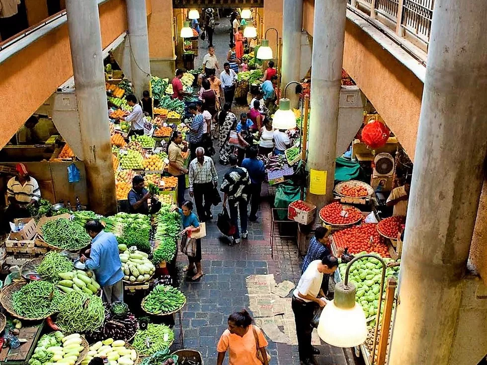 travel program image