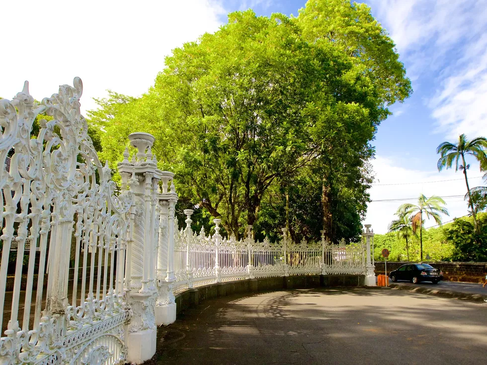 travel program image