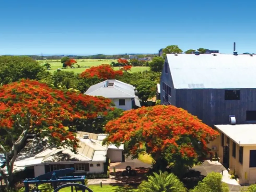 travel program image