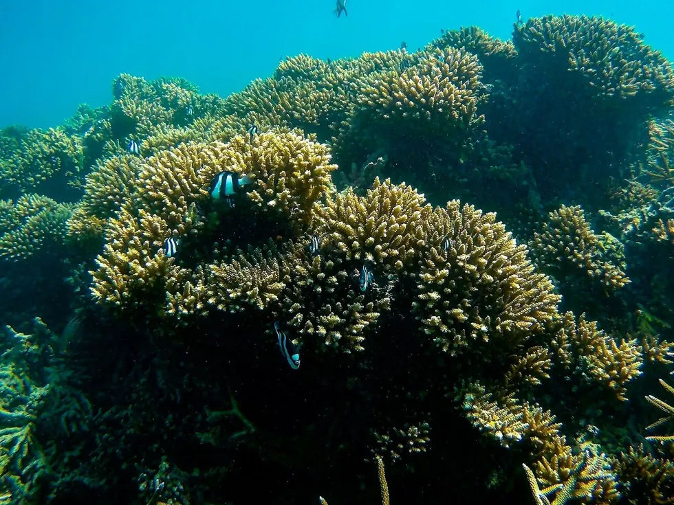 travel program image