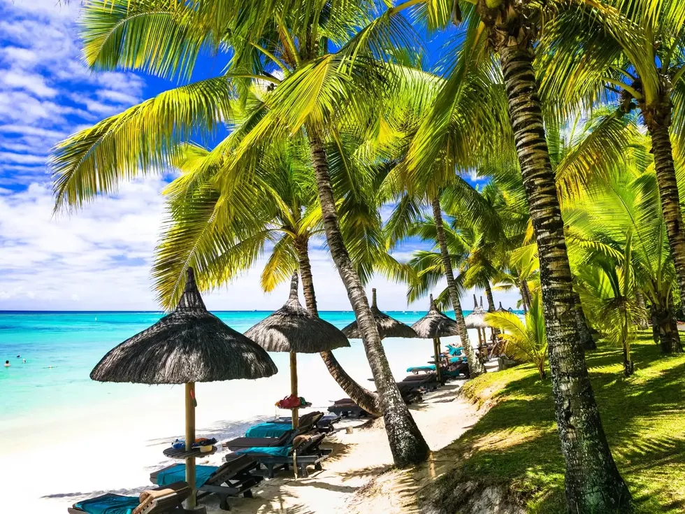 travel program image