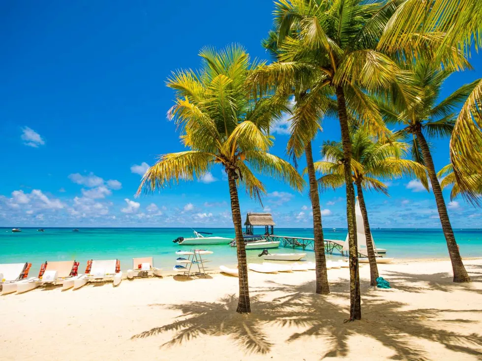 travel program image