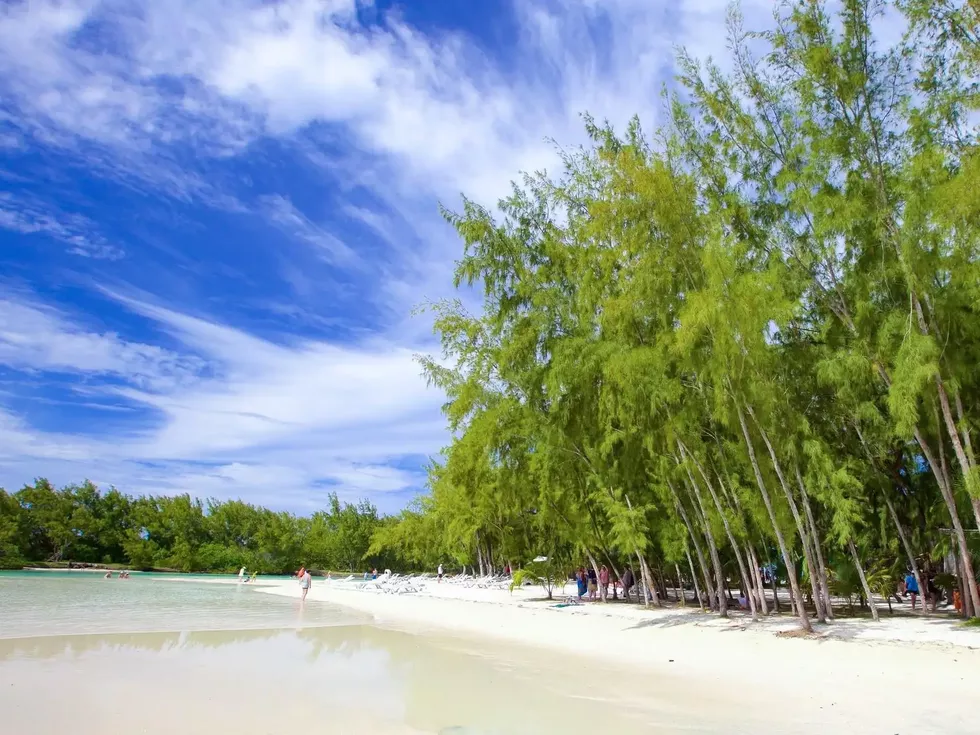 travel program image
