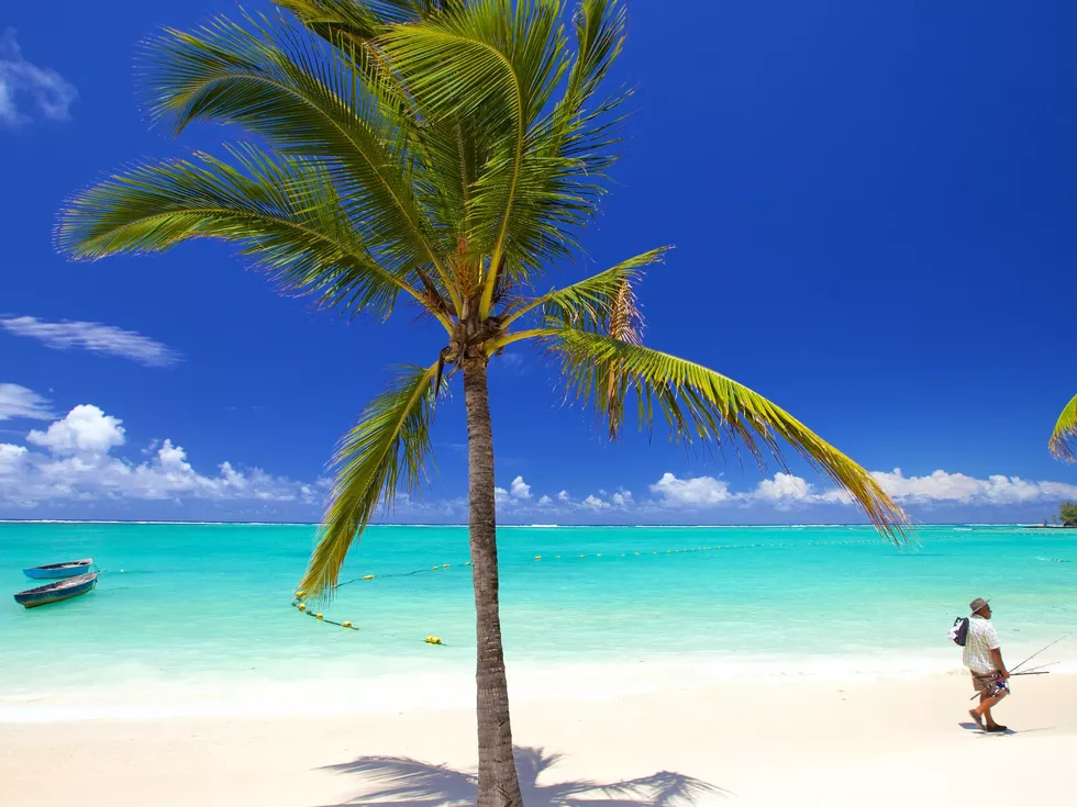 travel program image