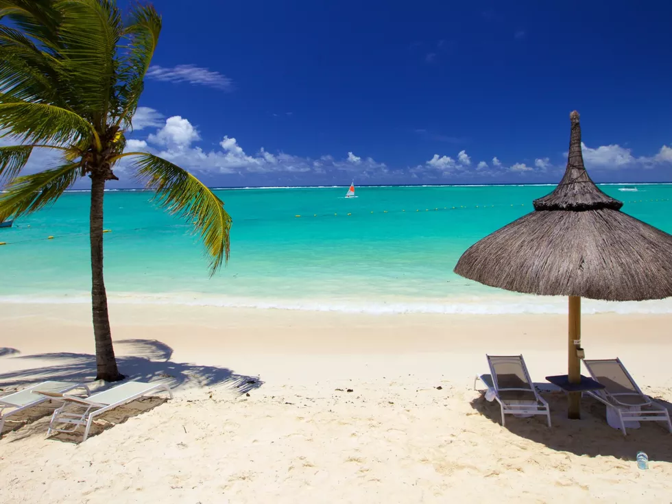 travel program image
