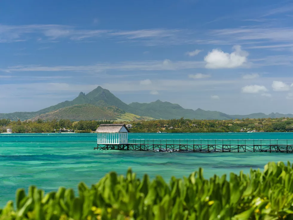 travel program image