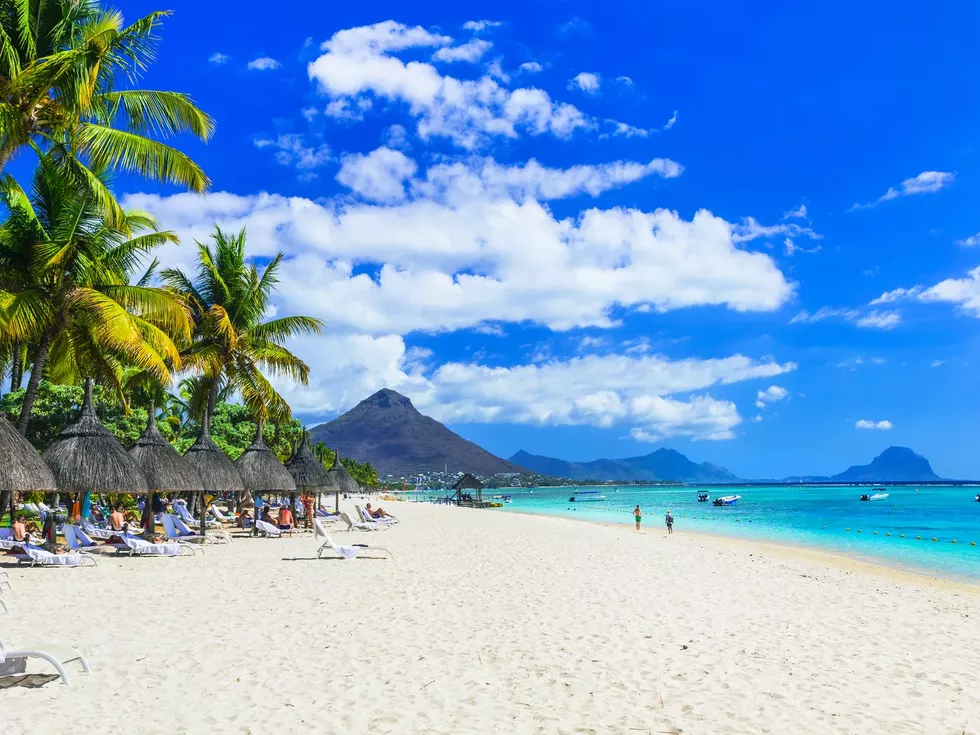 travel program image