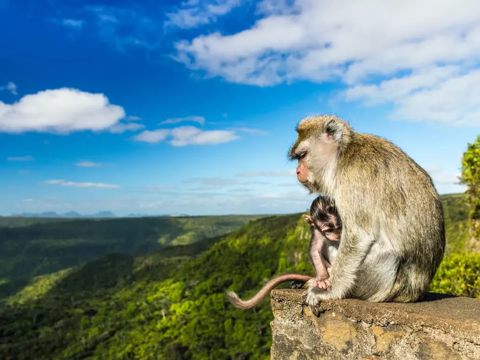 travel program image