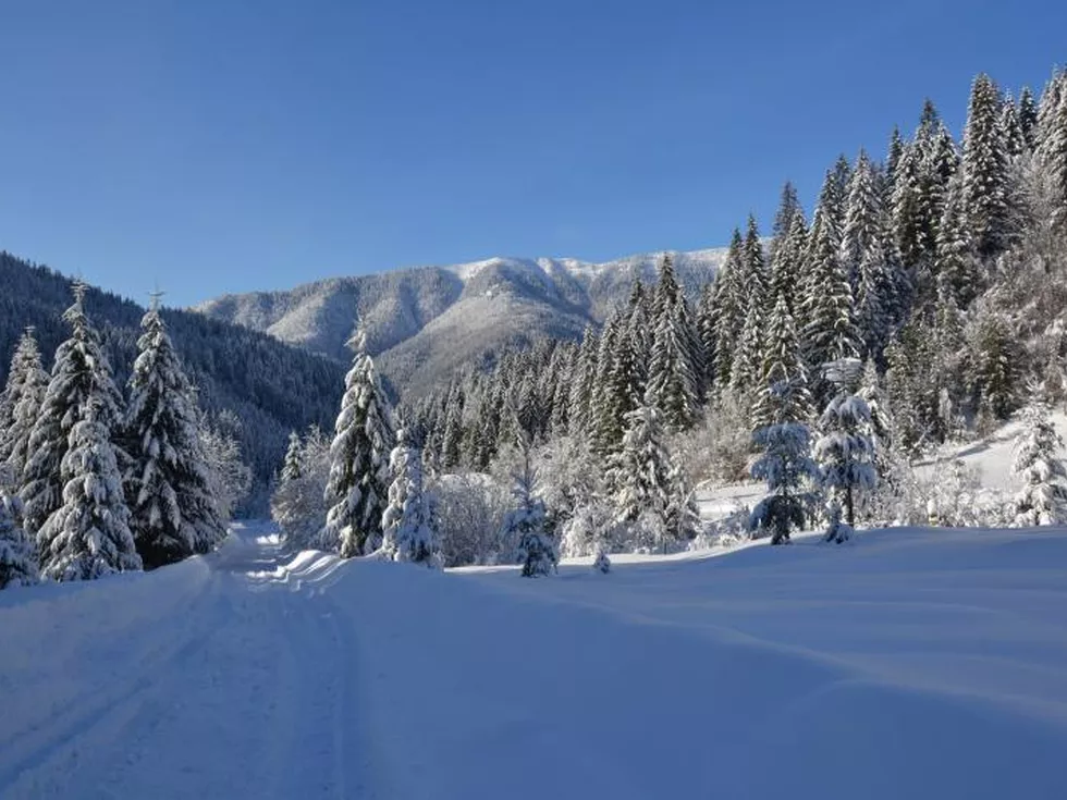 travel program image