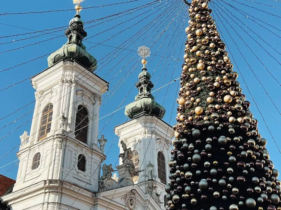 travel program image