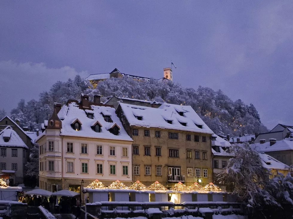 travel program image