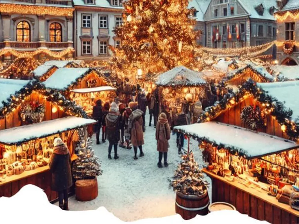 travel program image