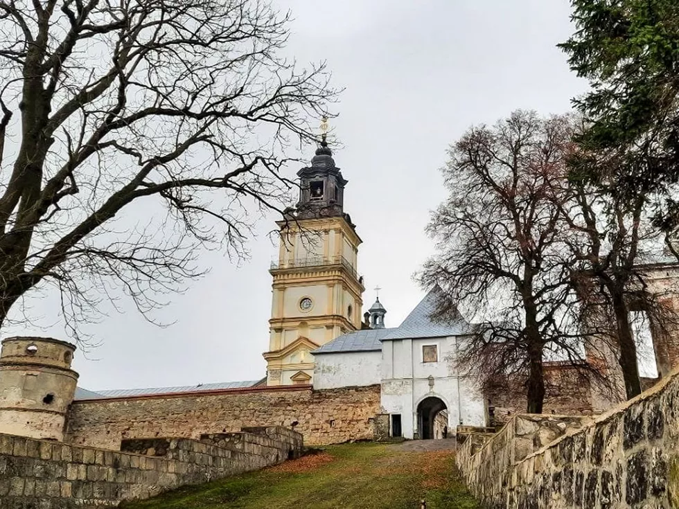 travel program image