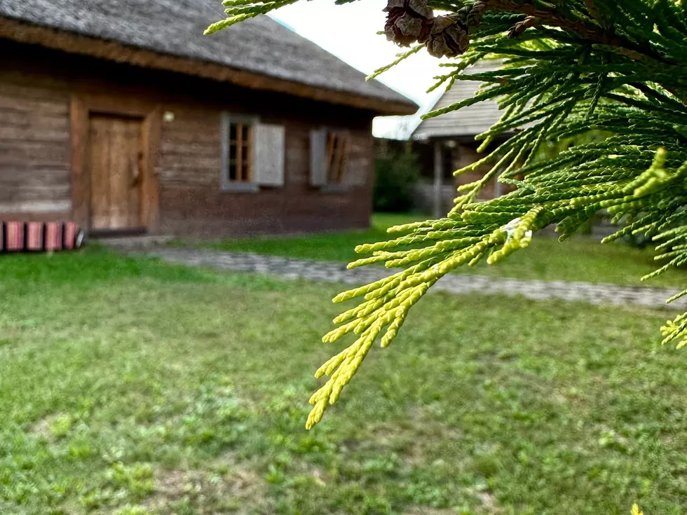 travel program image