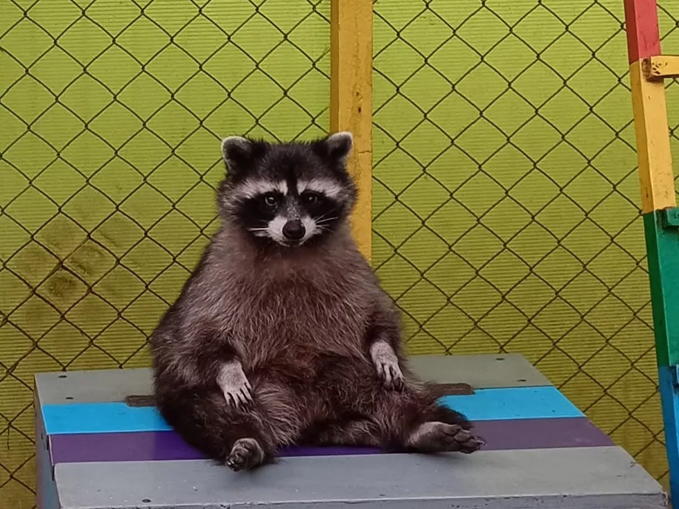 travel program image