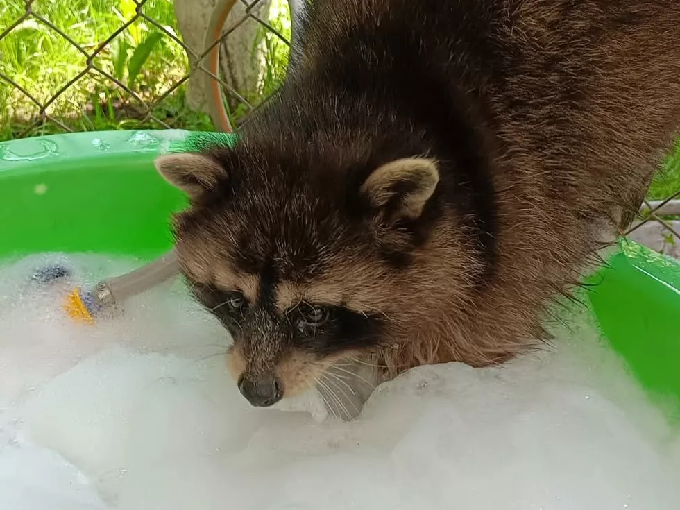 travel program image