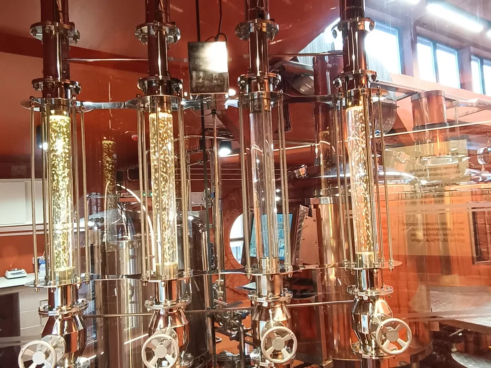 travel program image